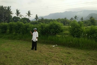 land For sale in Sanggalangit Seririt Singaraja